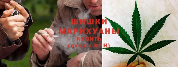 хмурый Липки