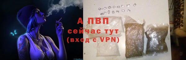 круглые Магас