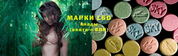 хмурый Липки