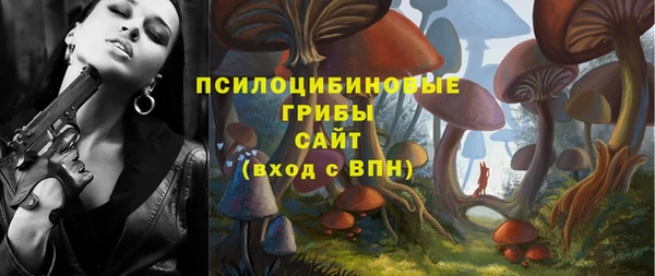 круглые Магас
