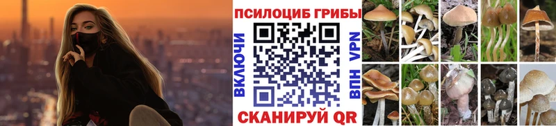 Псилоцибиновые грибы Magic Shrooms kraken рабочий сайт Минеральные Воды