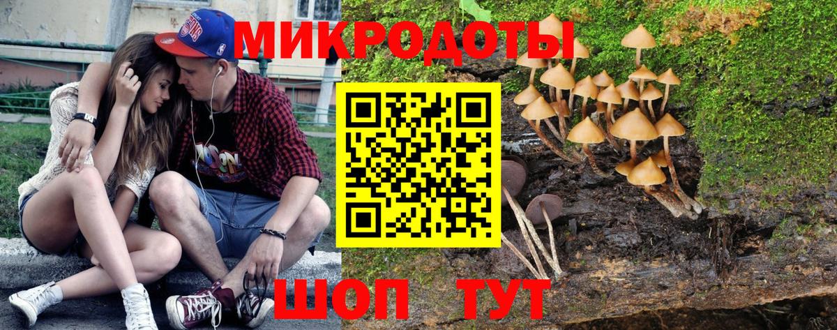 Галлюциногенные грибы прущие грибы Минеральные Воды