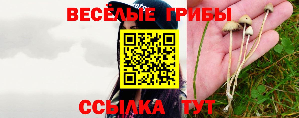 Галлюциногенные грибы MAGIC MUSHROOMS  Вход с VPN  Минеральные Воды  наркотики  Псилоцибиновые грибы Psilocybe 
