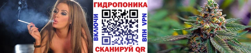 Конопля MAZAR Минеральные Воды